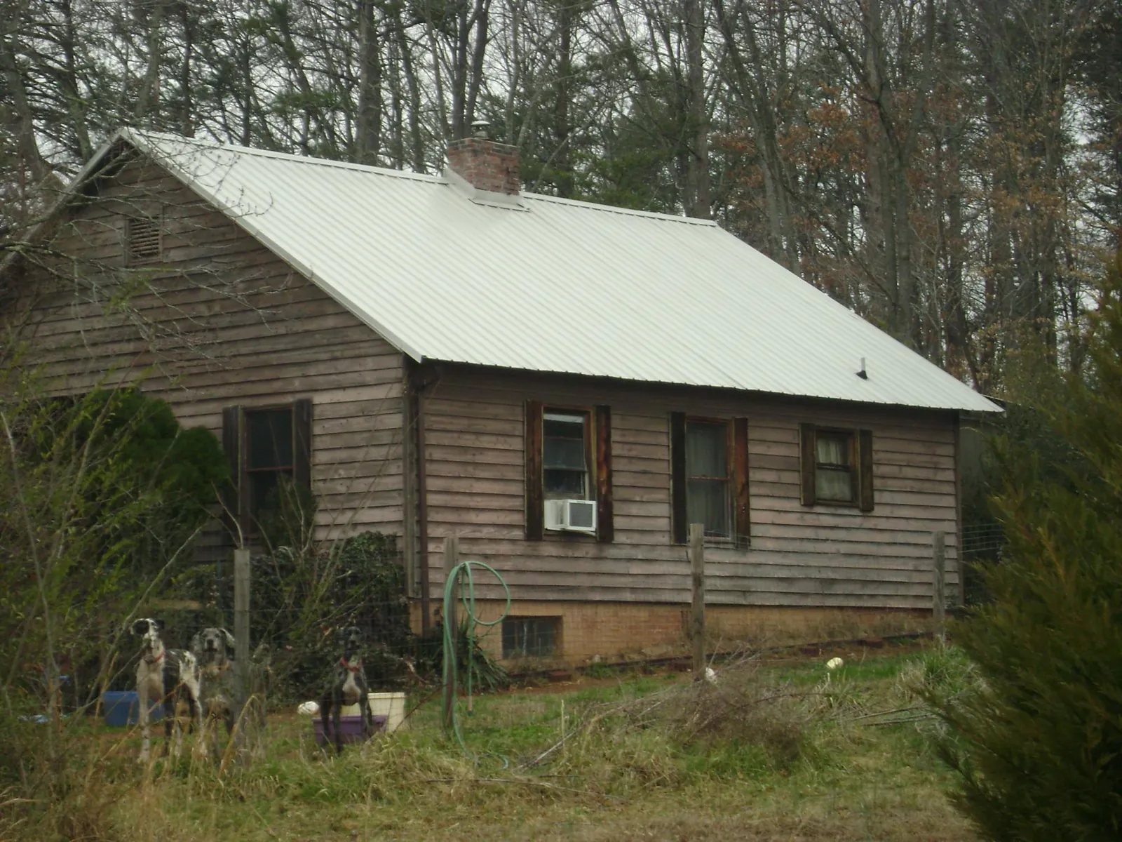 White metal roof on an old wood sided farmhouse, from a Asphalt Shingle Roof Repair job in Lindon